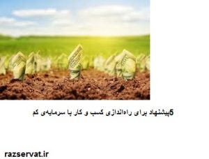 راه‌اندازی کسب و کار با سرمایه‌ی کم