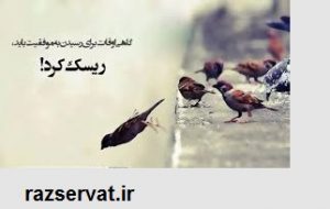 ریسک کنید