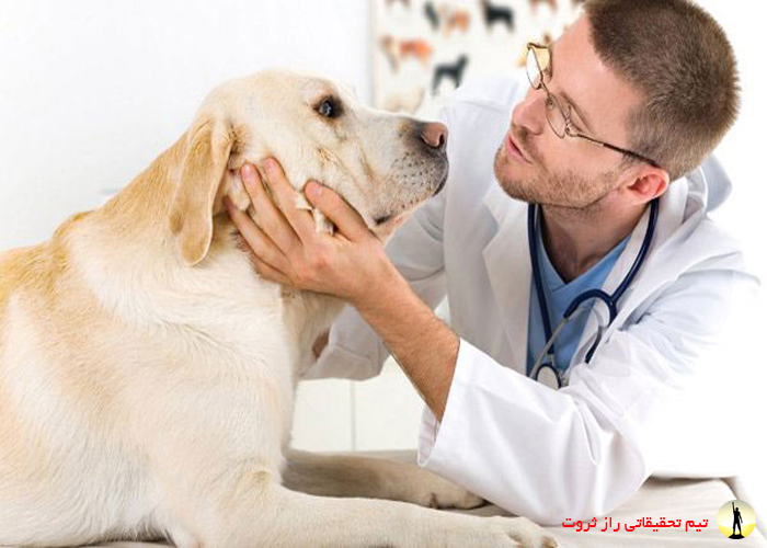خطرناک ترین مشاغل دنیا