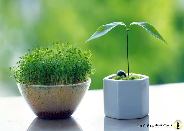 سفره هفت سین