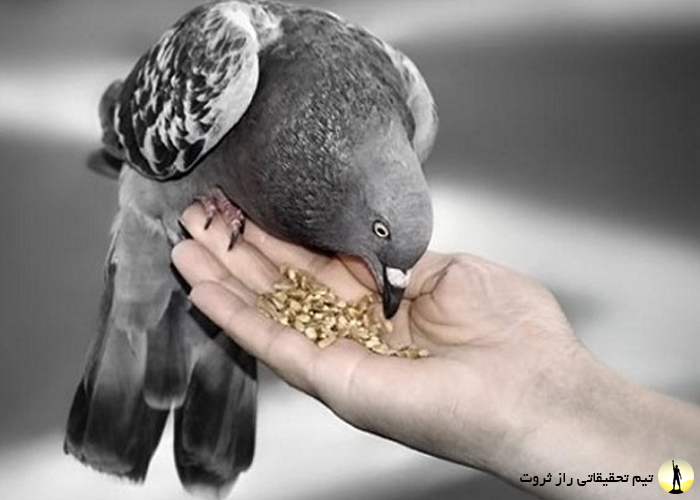 عجیب ترین قوانین دنیا