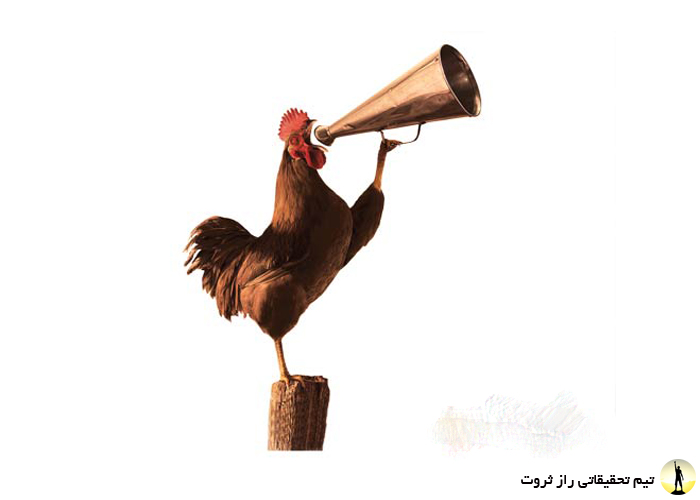 برای خواب راحت چه بخوریم