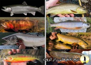 روش های پرورش ماهی