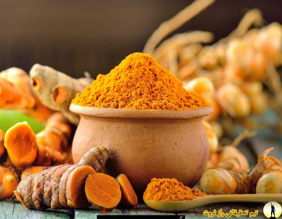 زرد چوبه و خواص و فوایدش