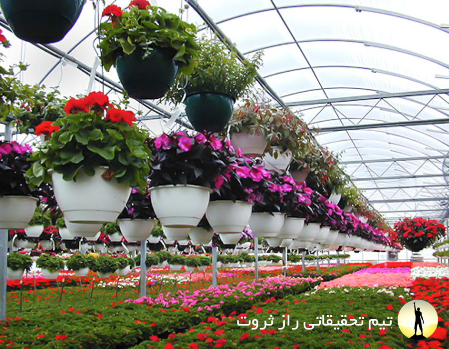 پرورش گل های زینتی
