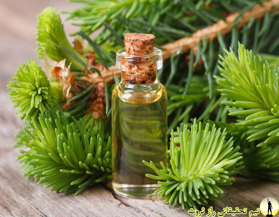 فواید شگفت انگیز روغن چوب سدر